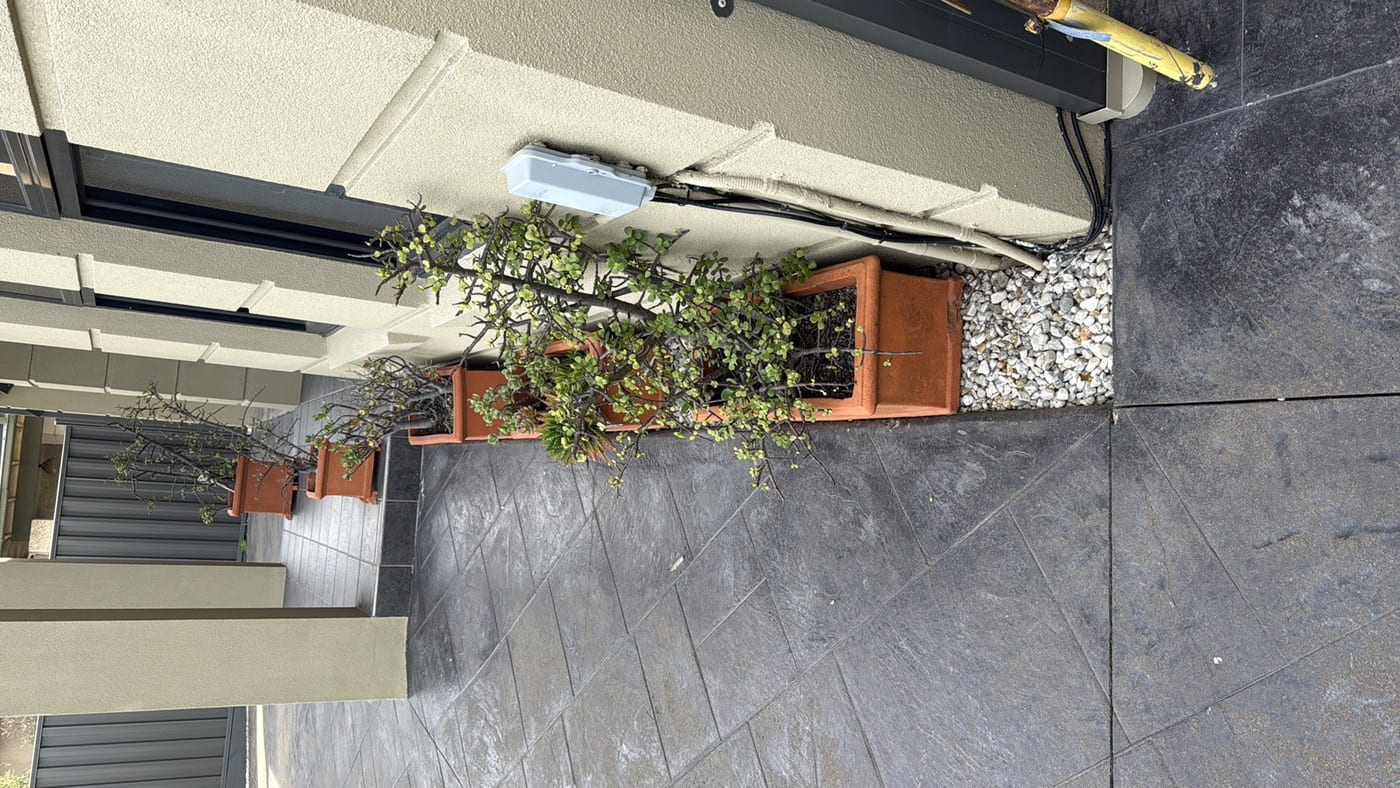 Building risks in the developing Aintree landscape